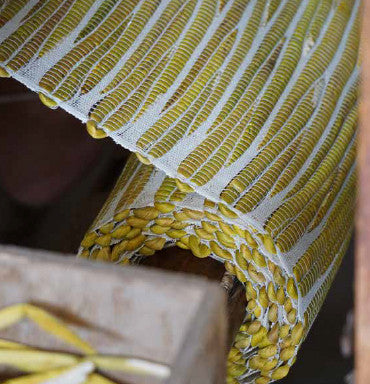 The hands behind handloom